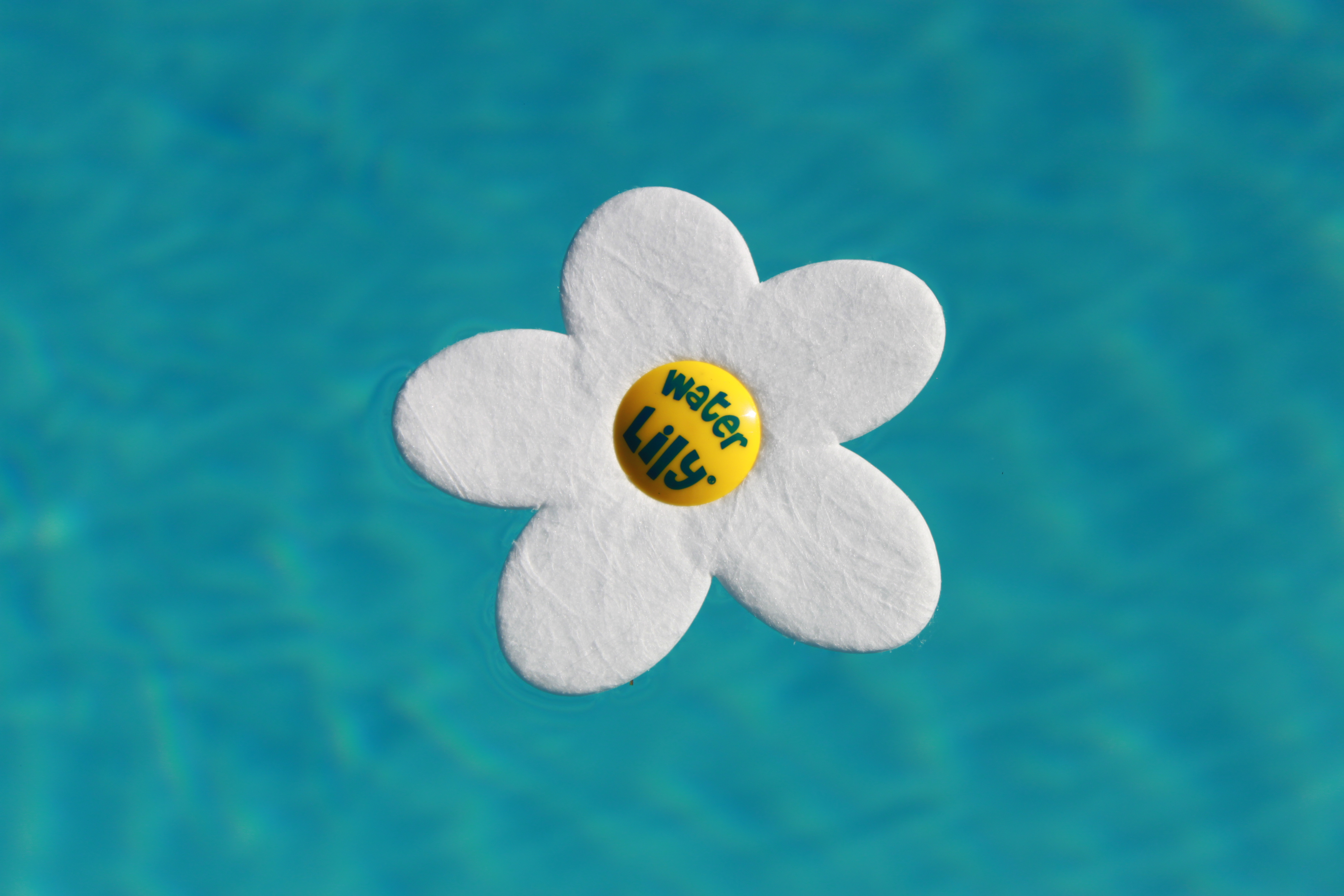 Water Lily Textilblüten gegen Fettrückstände schwimmend im Wasser